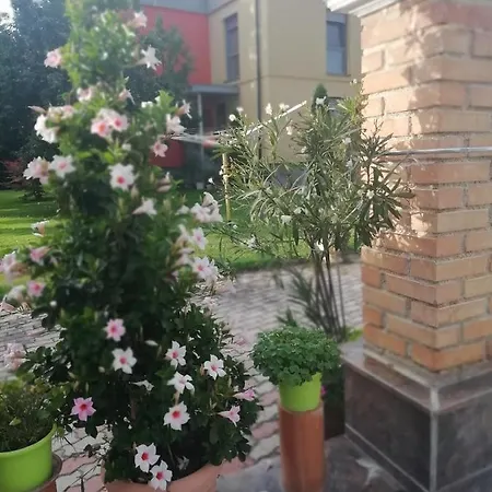 Haus Maria Apartment